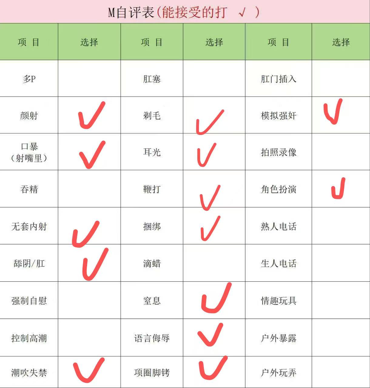 伴友 P98