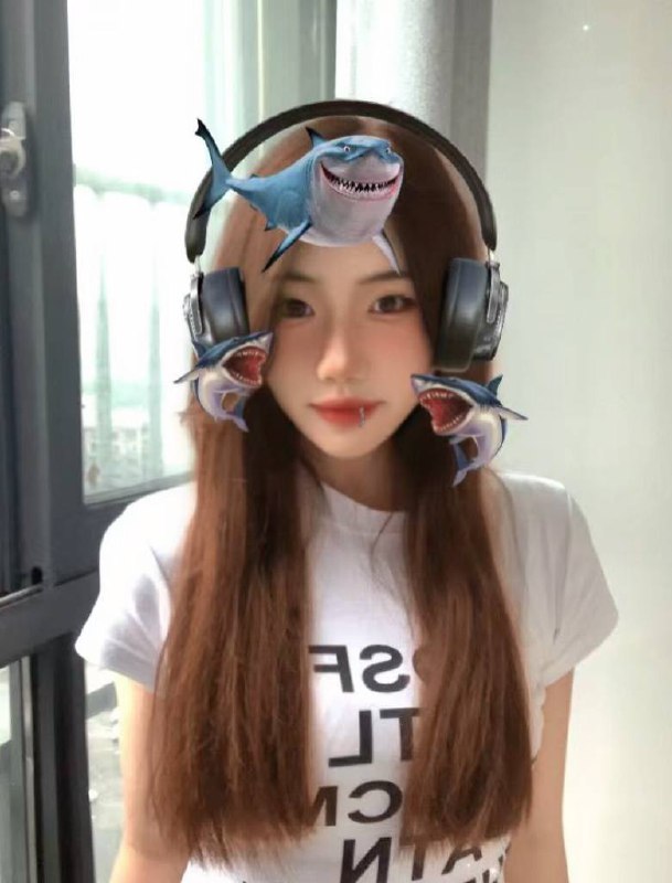 鲨鱼