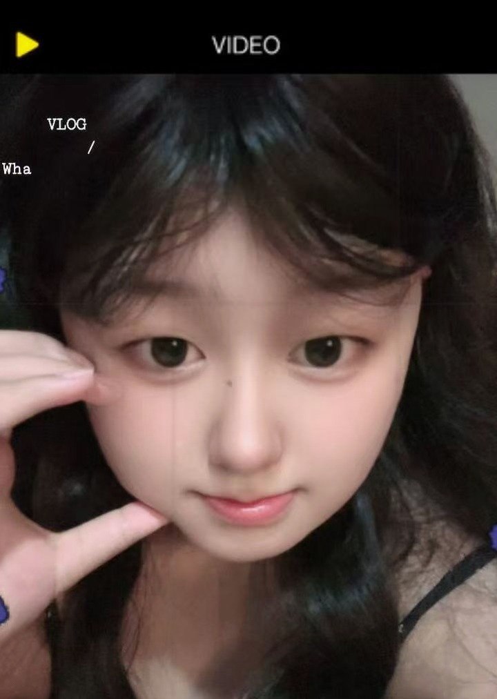 朴朴村长195
