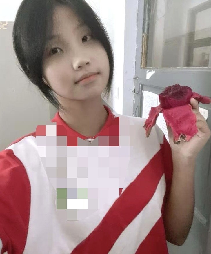 豆豆h010