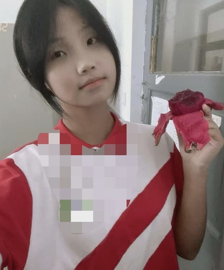 豆豆h025