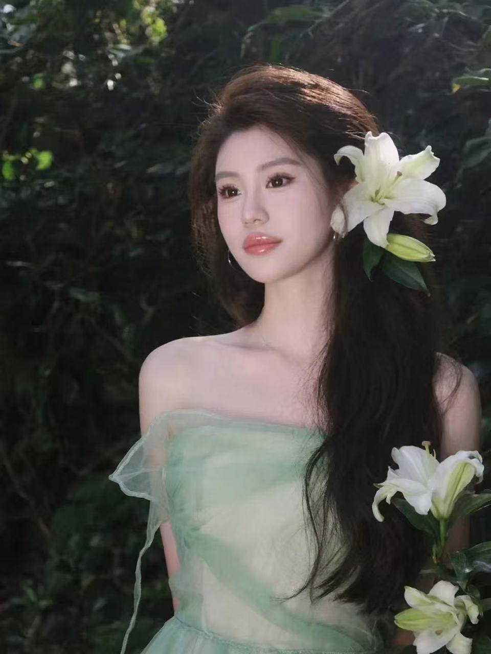 菊菊