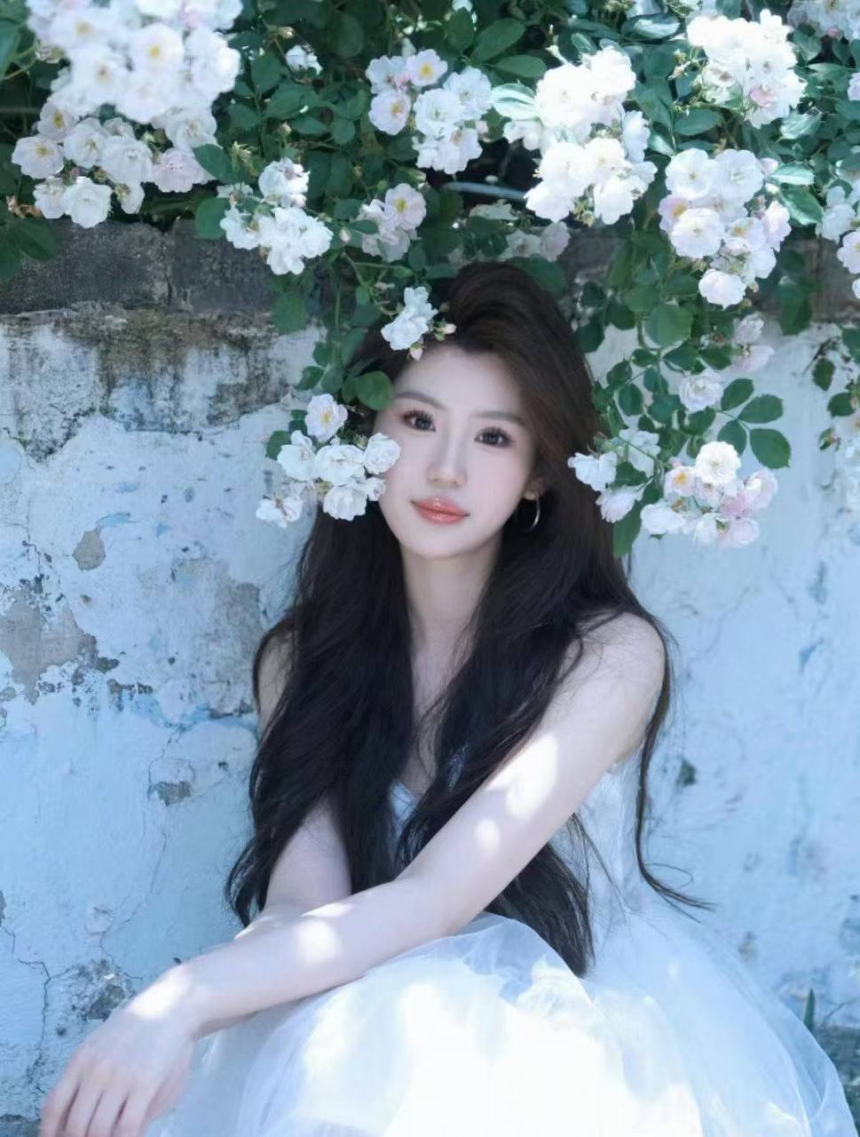 菊菊