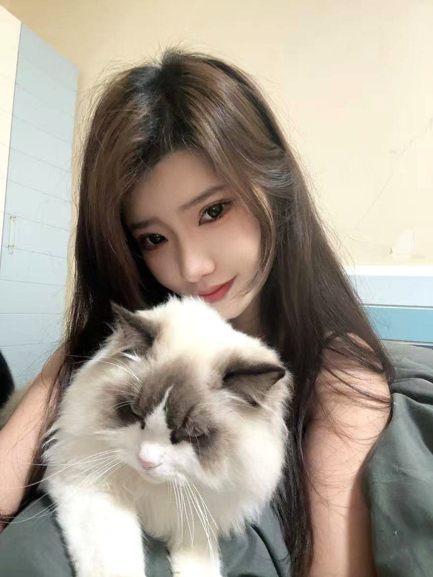 朴朴村长127