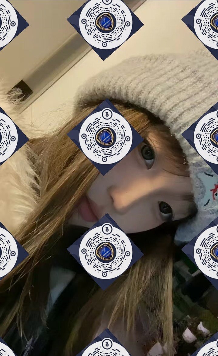 朴朴村长223