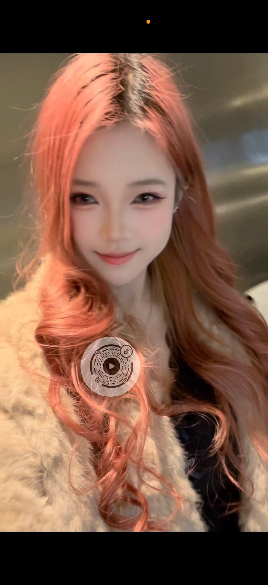 豹富017