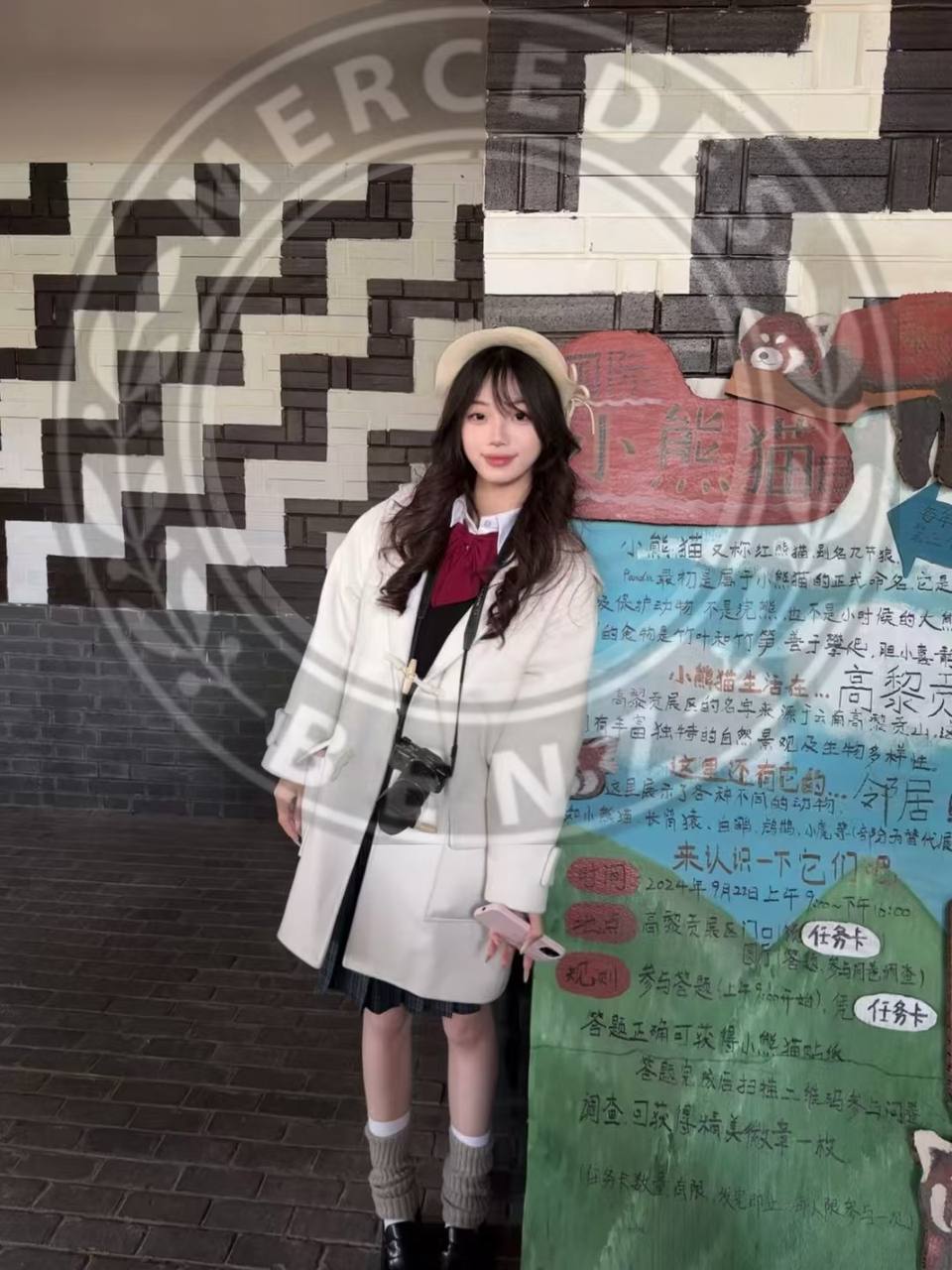 小圆