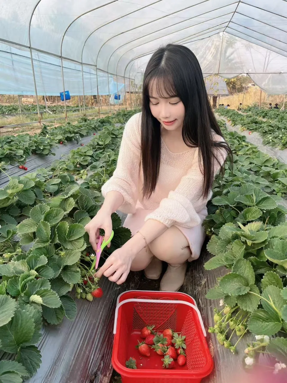 验证视频封面