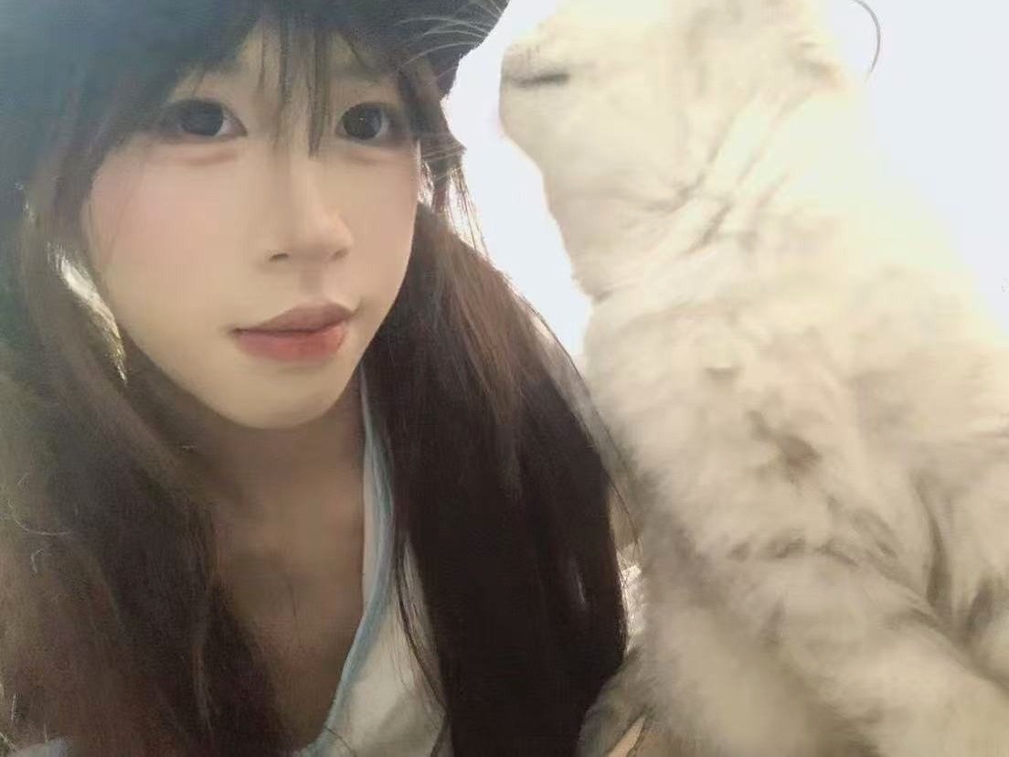 小呆