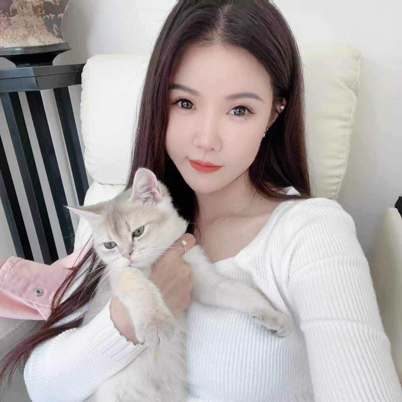 诗诗