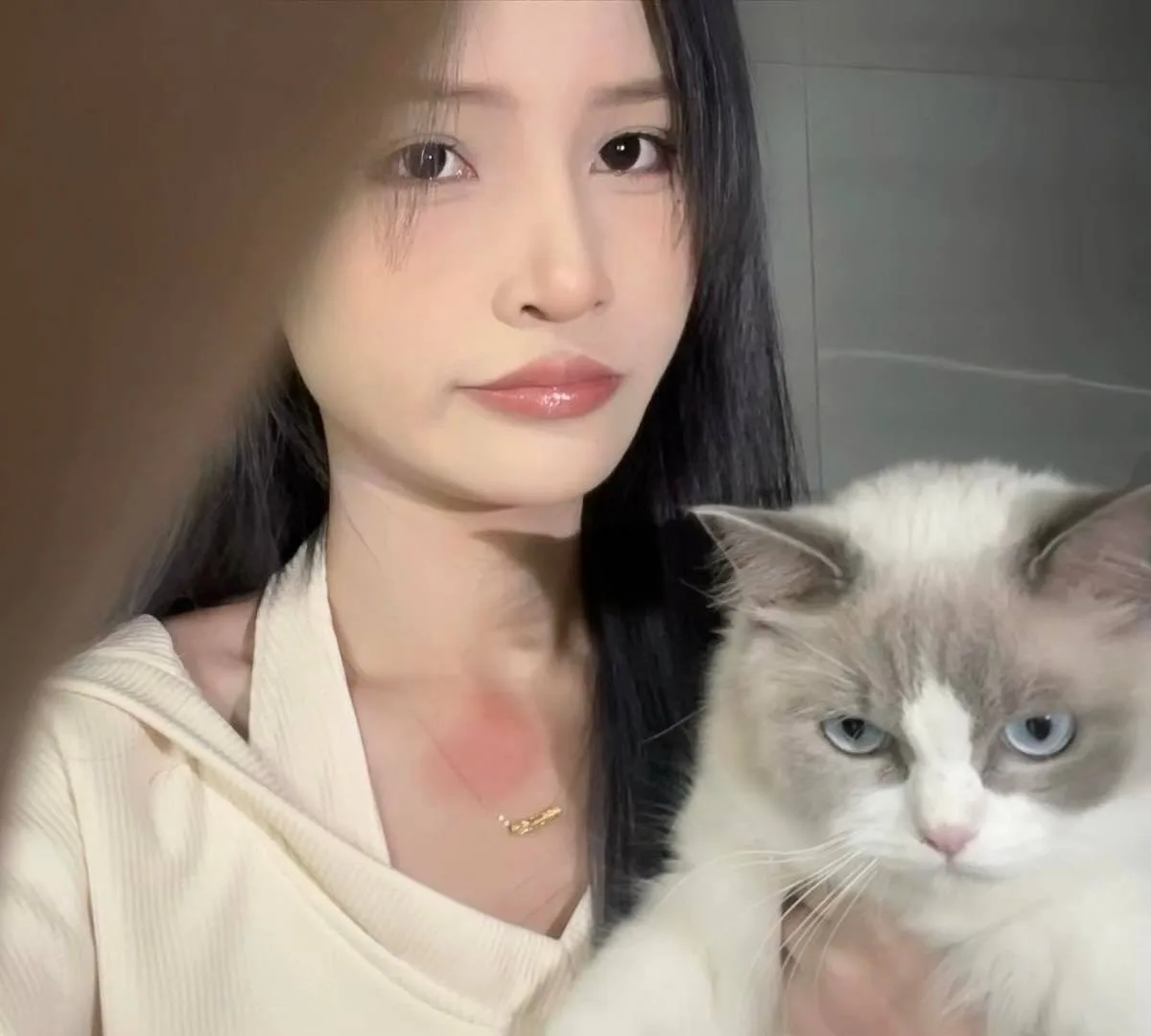 验证视频封面