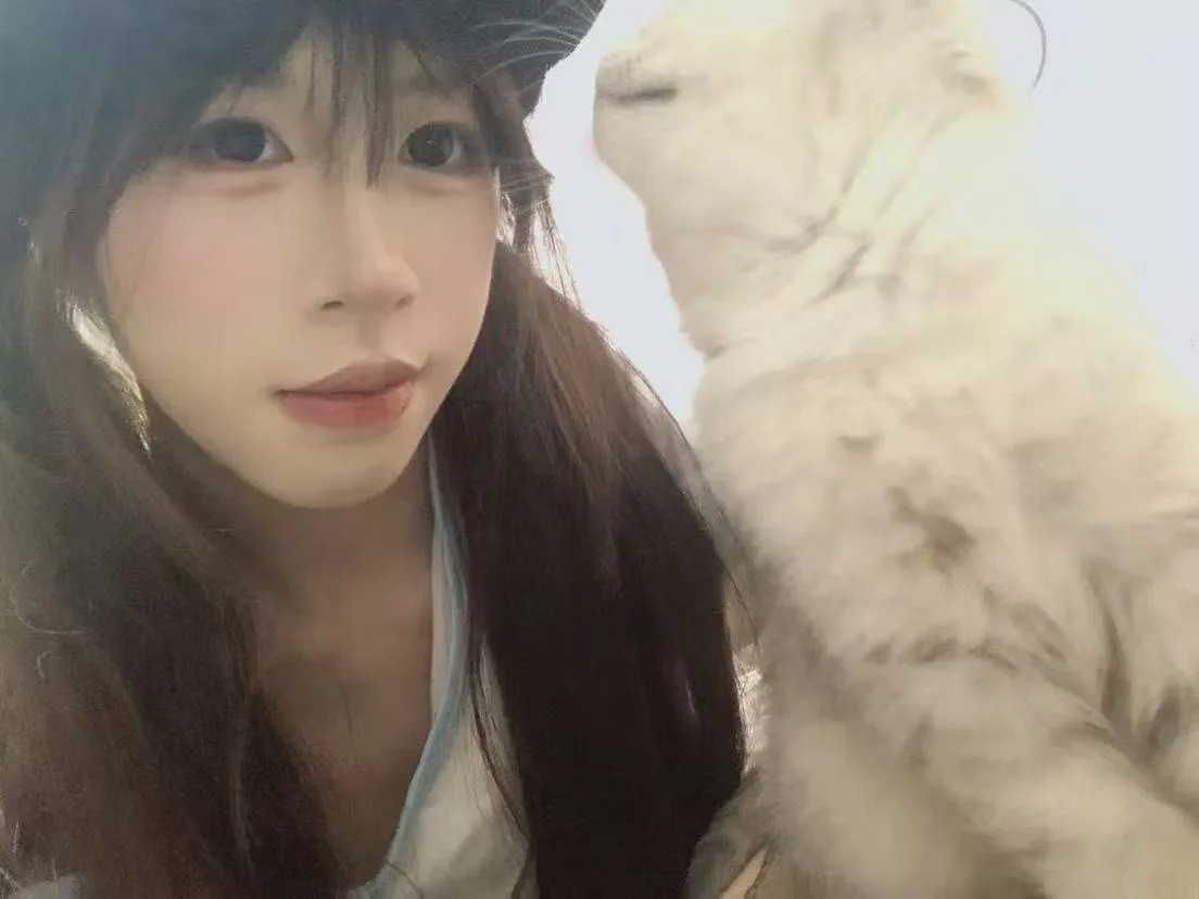 验证视频封面