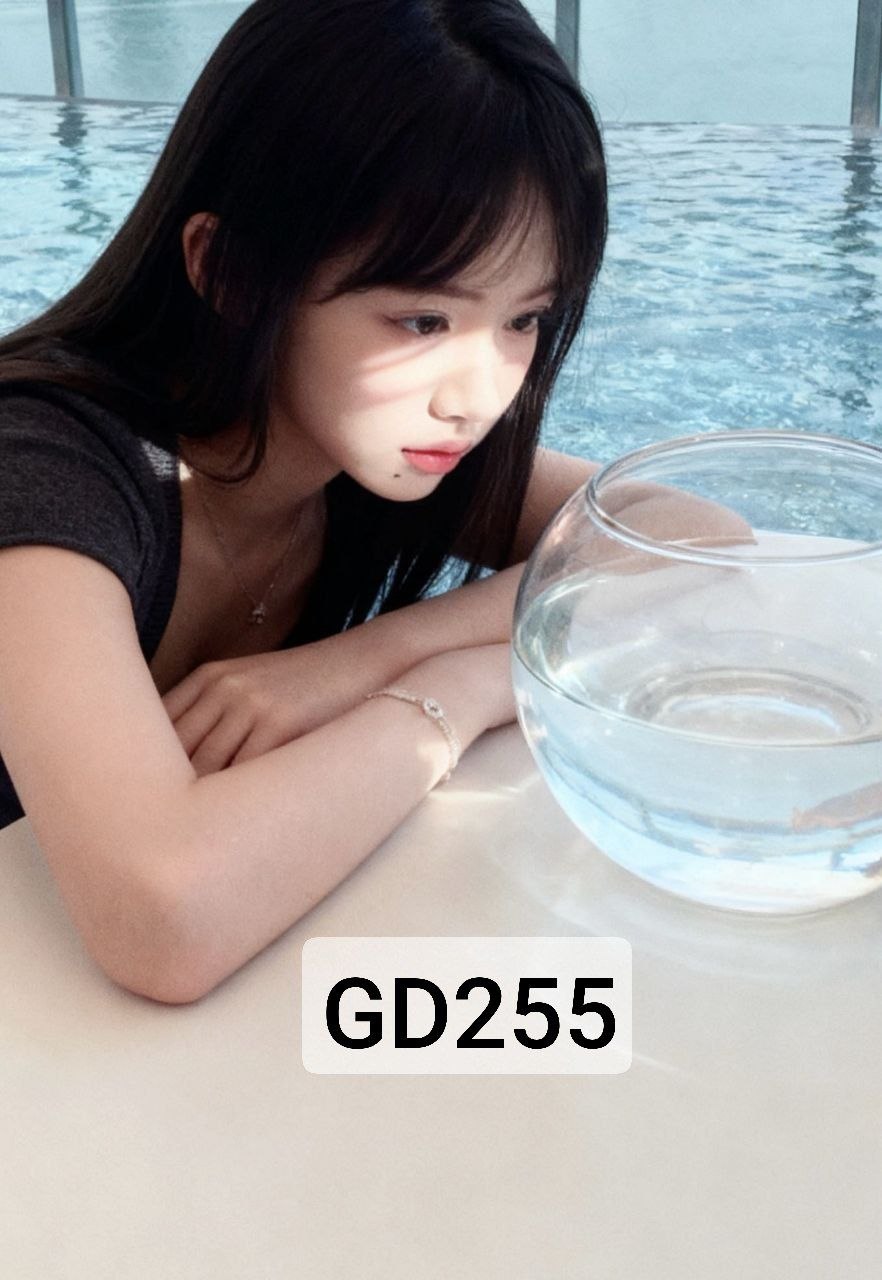 YC208