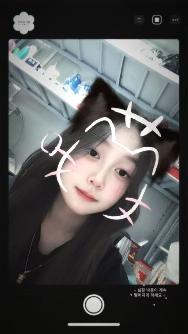 朴朴村长200