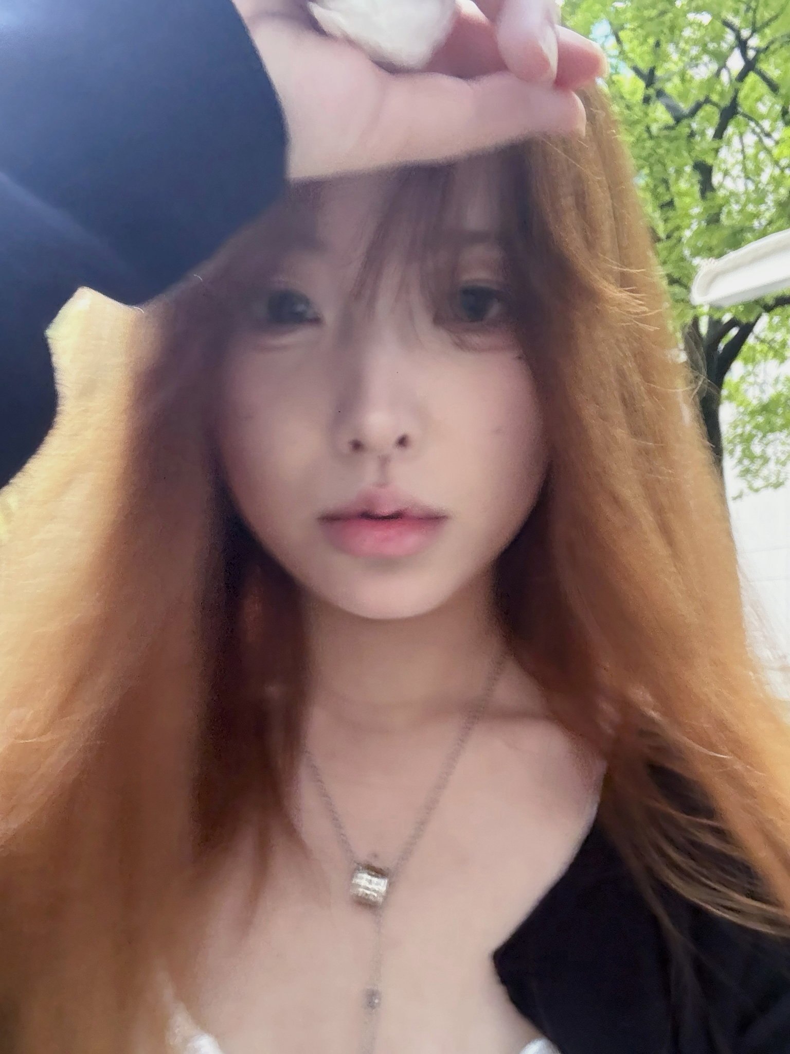 李逍遥九3016