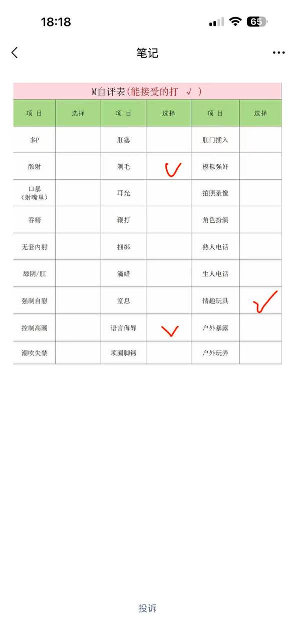 伴友H43
