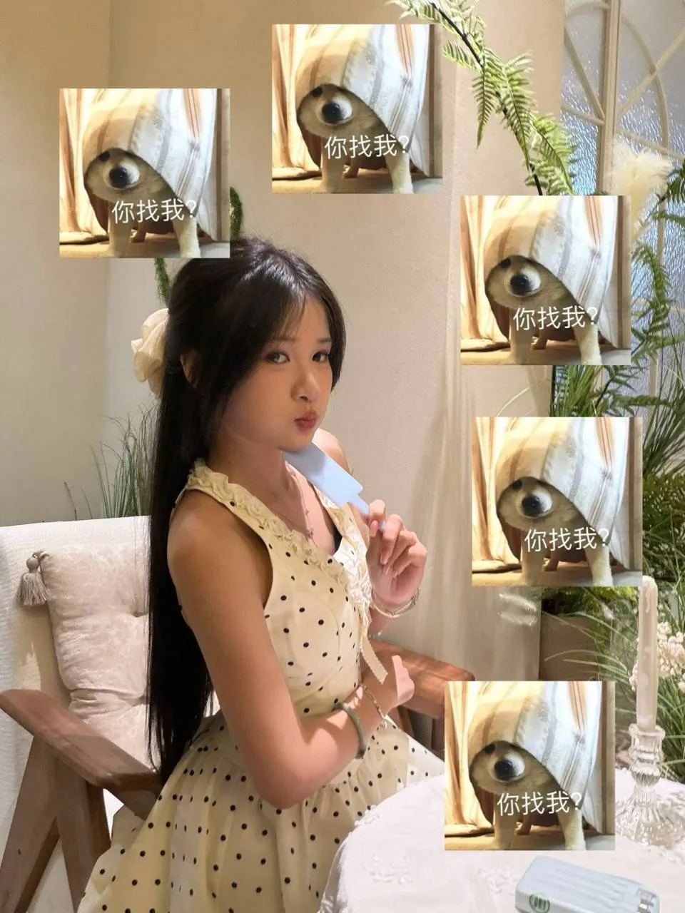 验证视频封面