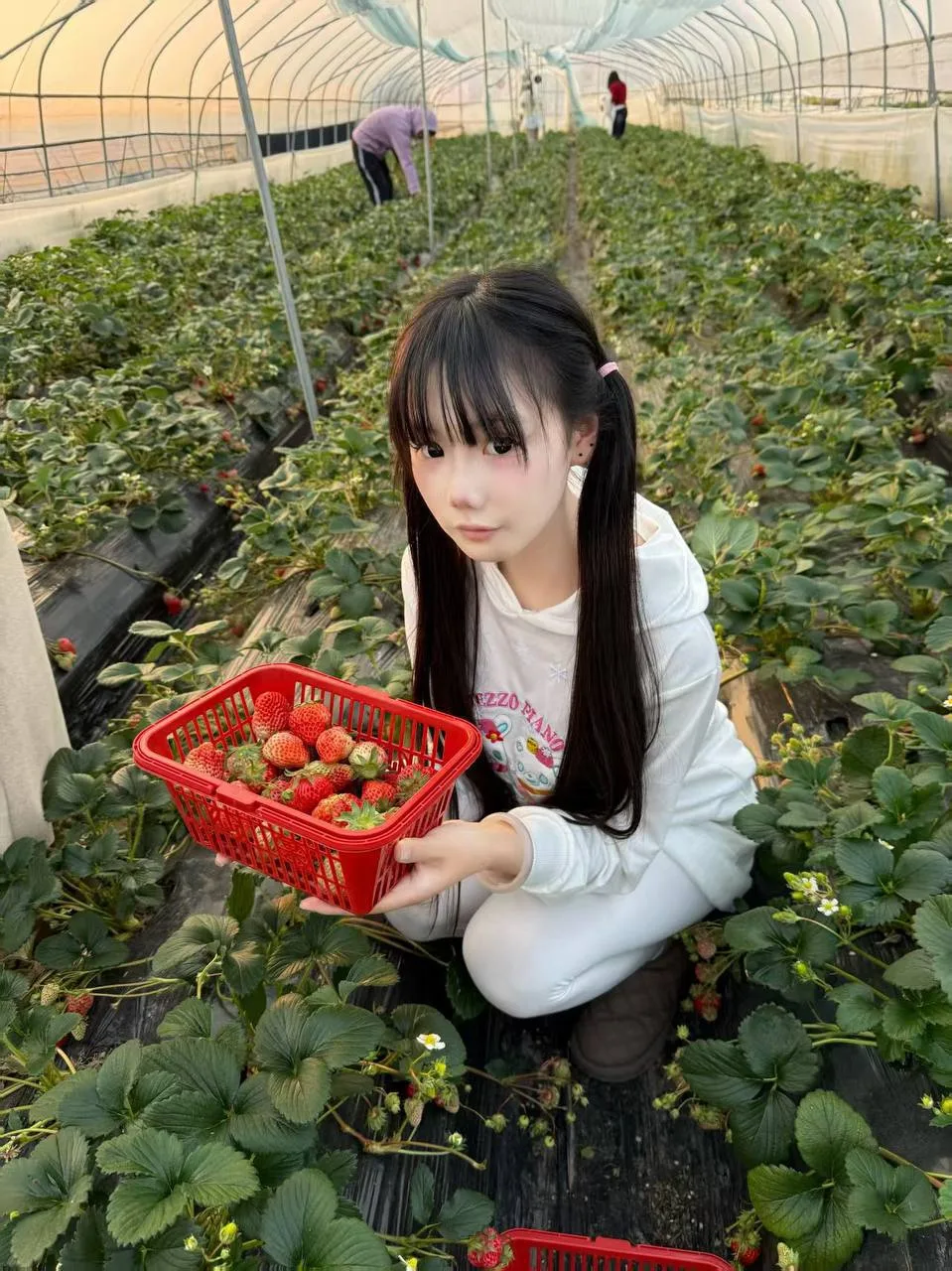 验证视频封面