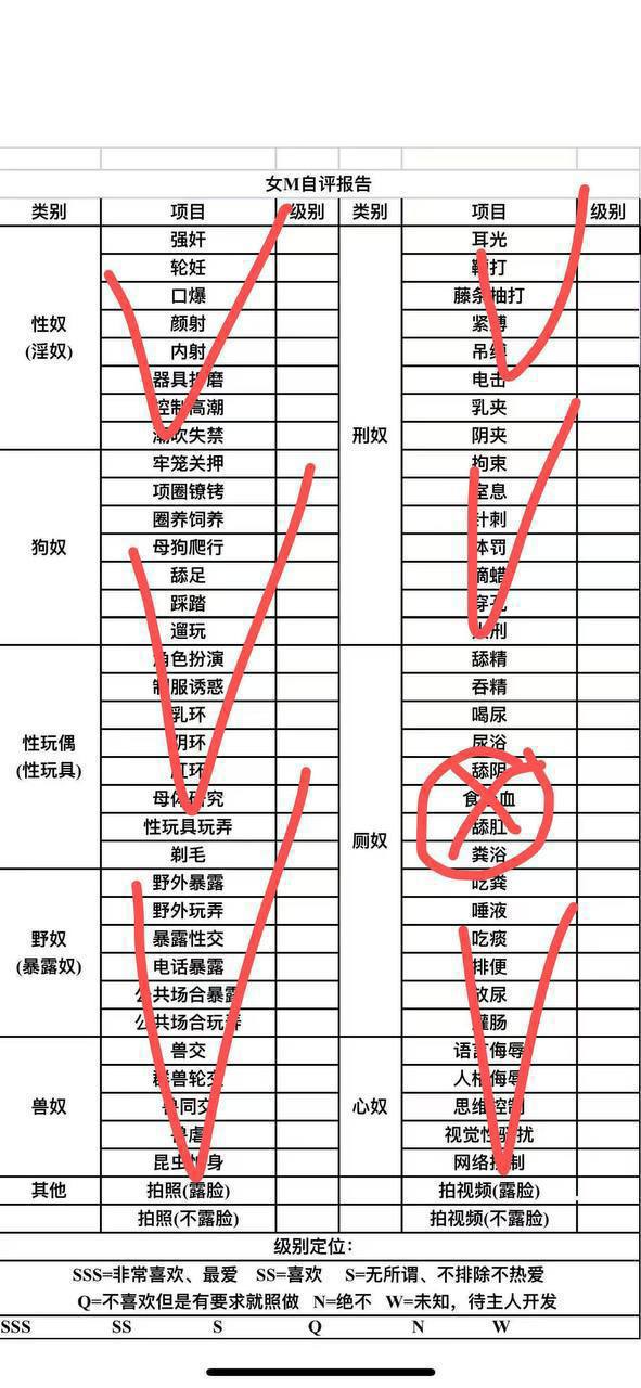 伴友 B5