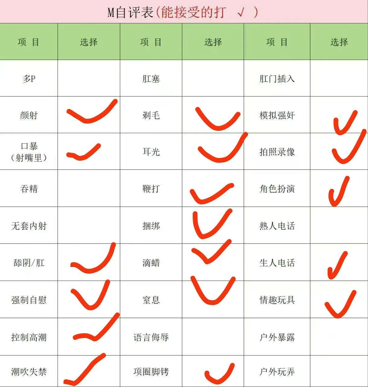 伴友 P61