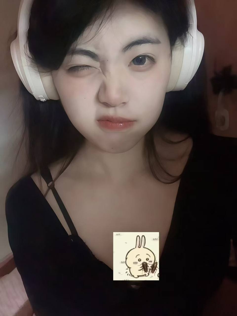 伴友 A20