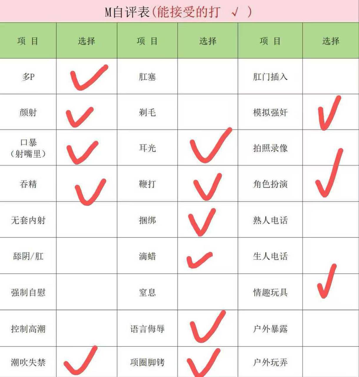 伴友 Z120