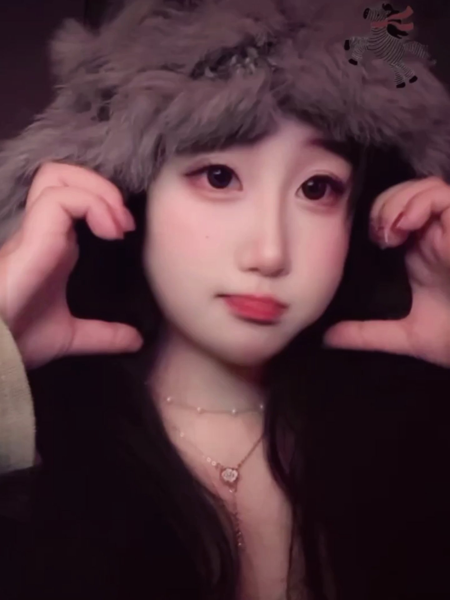 TY-C017