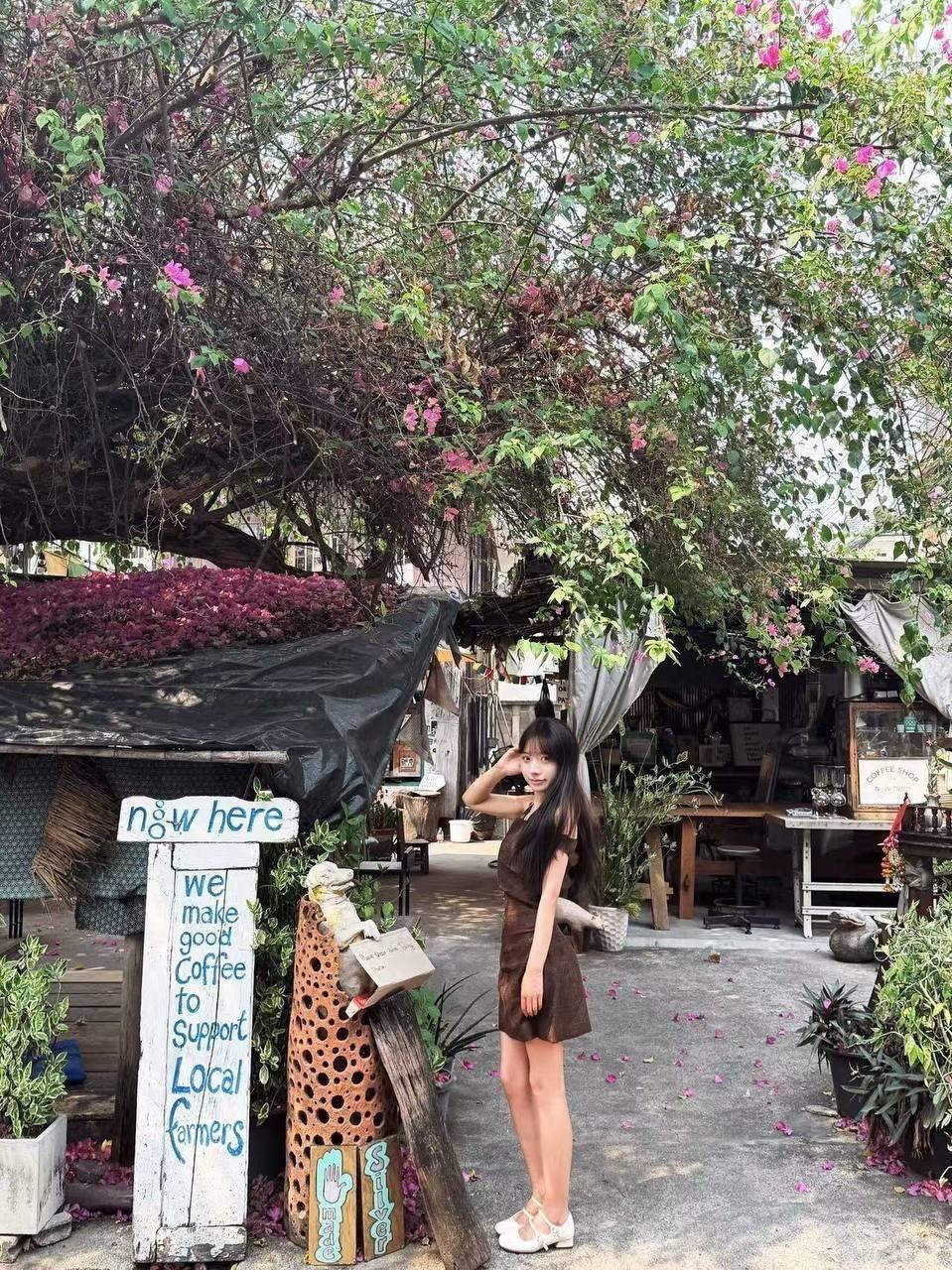 小朱