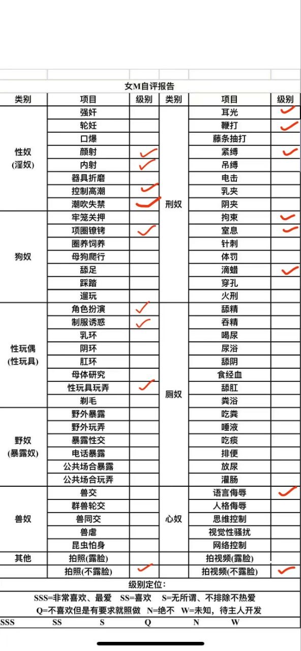 伴友 S15