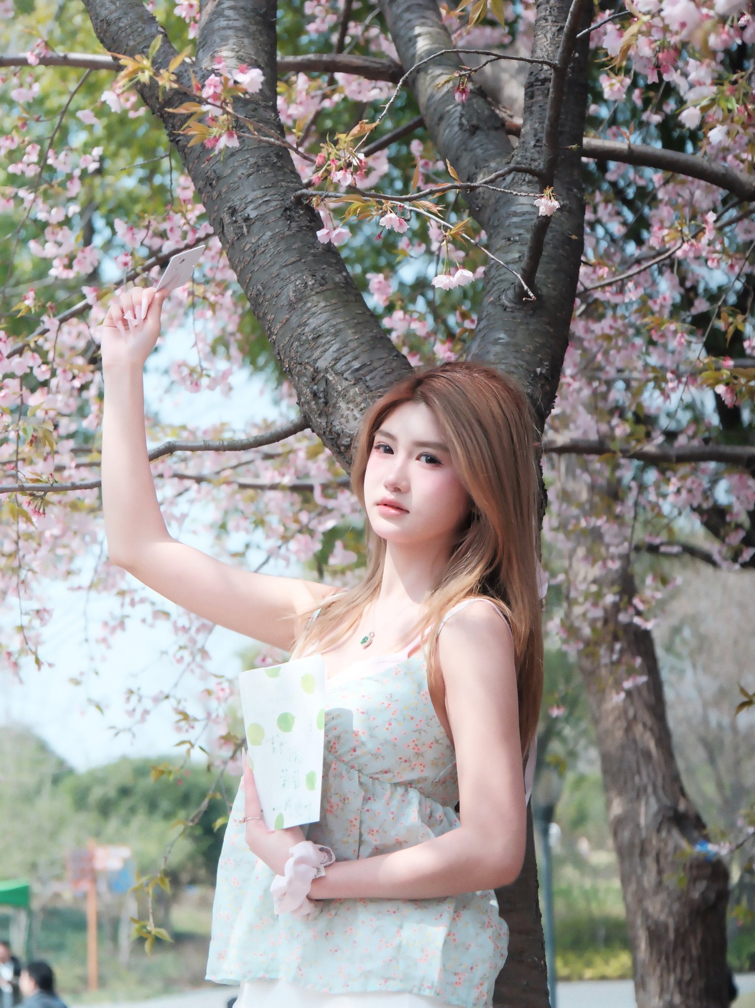 李逍遥九3009