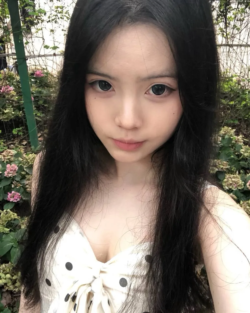 验证视频封面