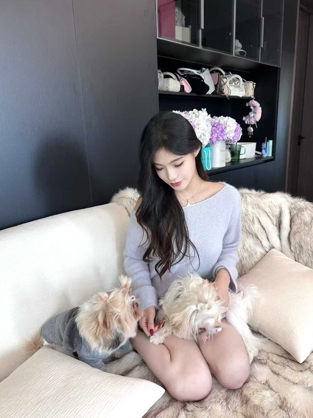 羊羊