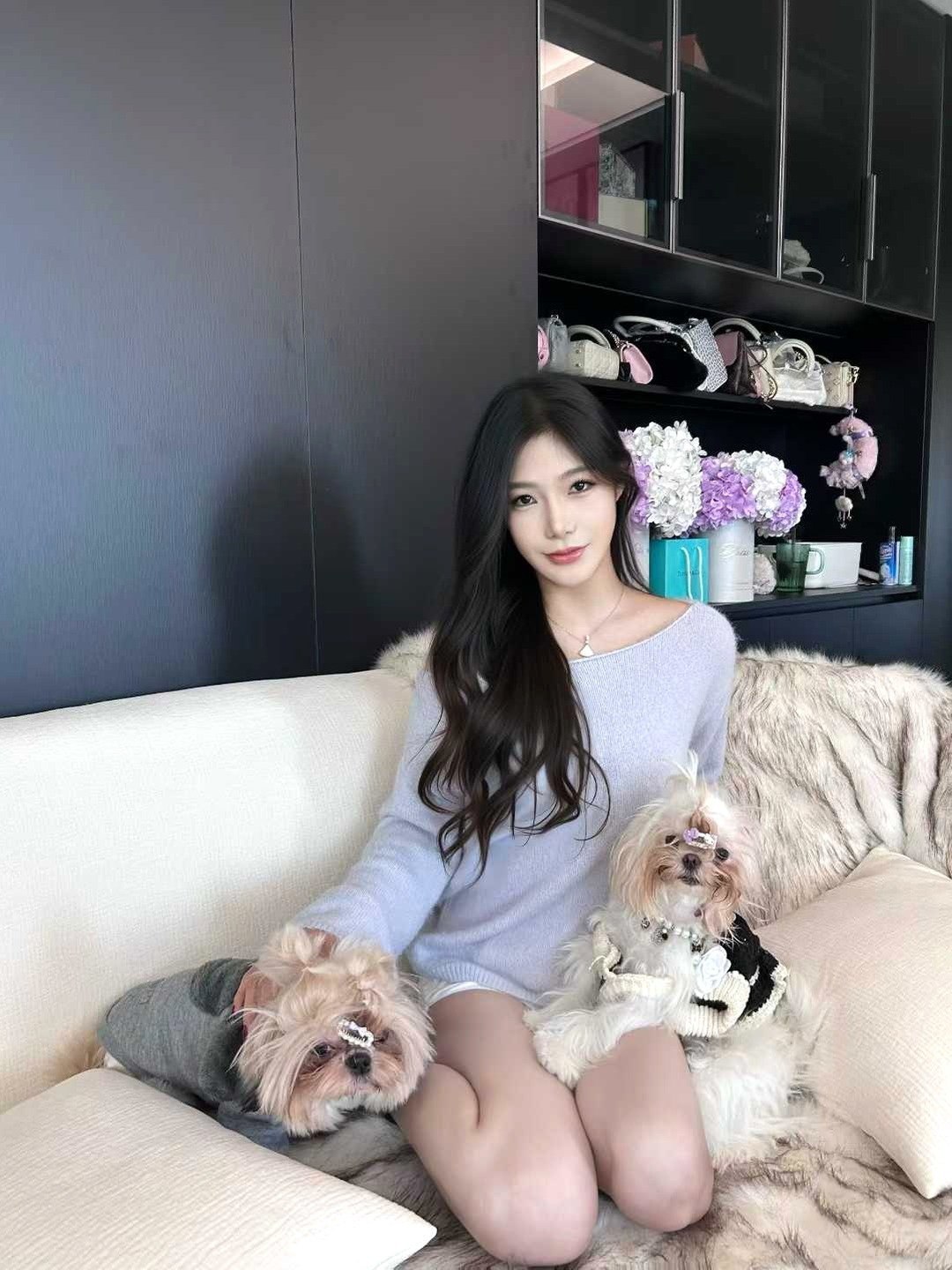 羊羊