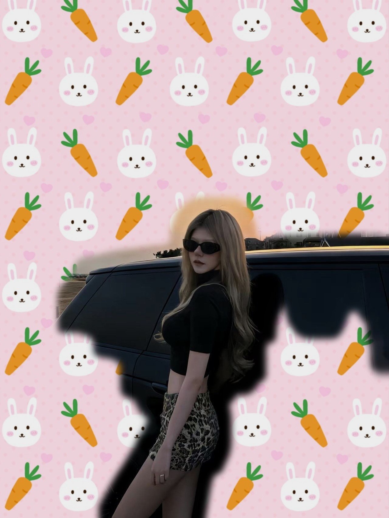 妃子