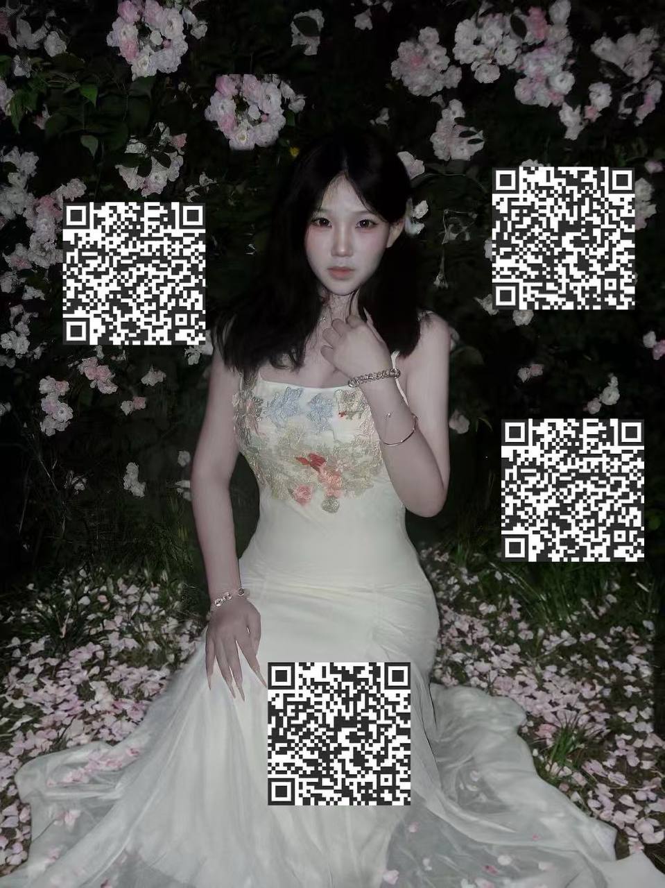 菠萝- BL-cy2