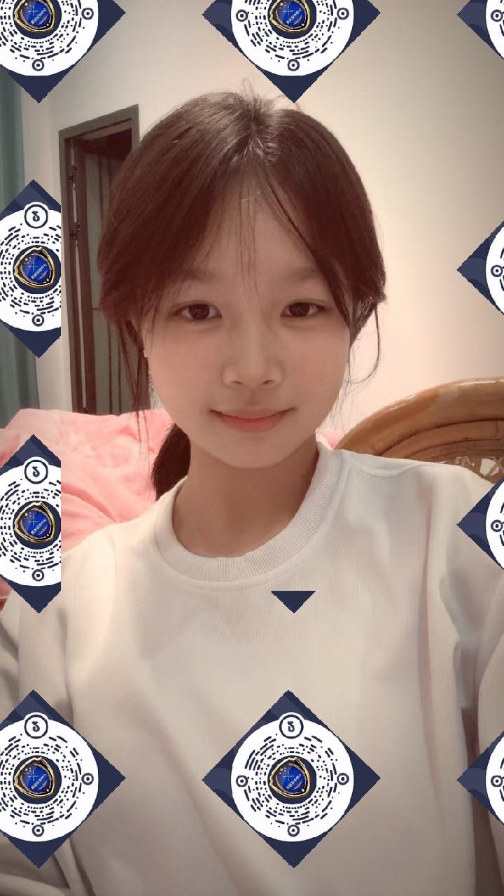 朴朴村长171