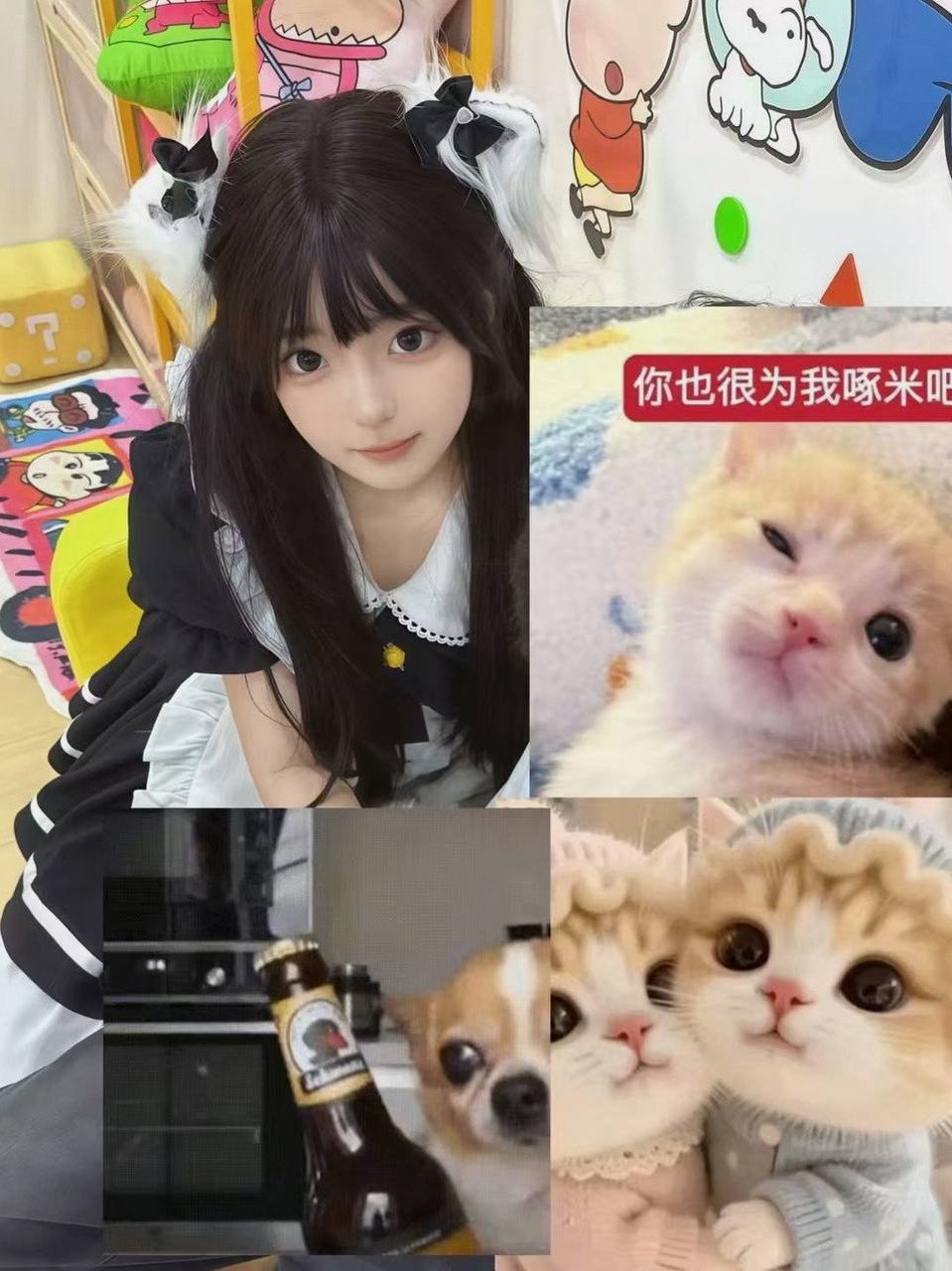 孤岛021