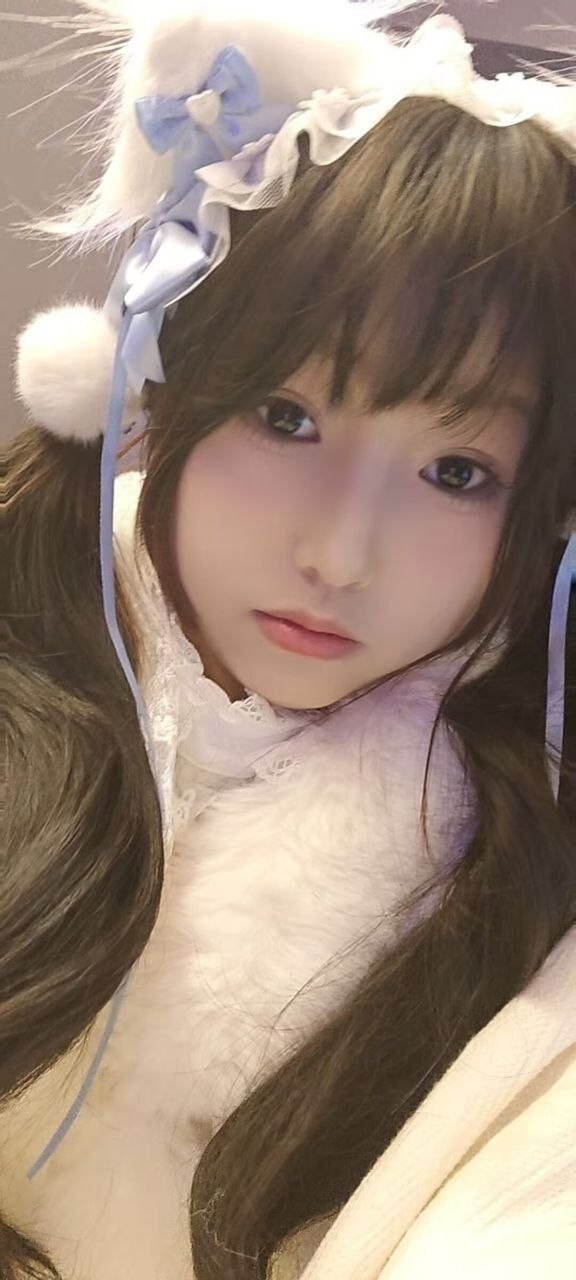 豆豆N