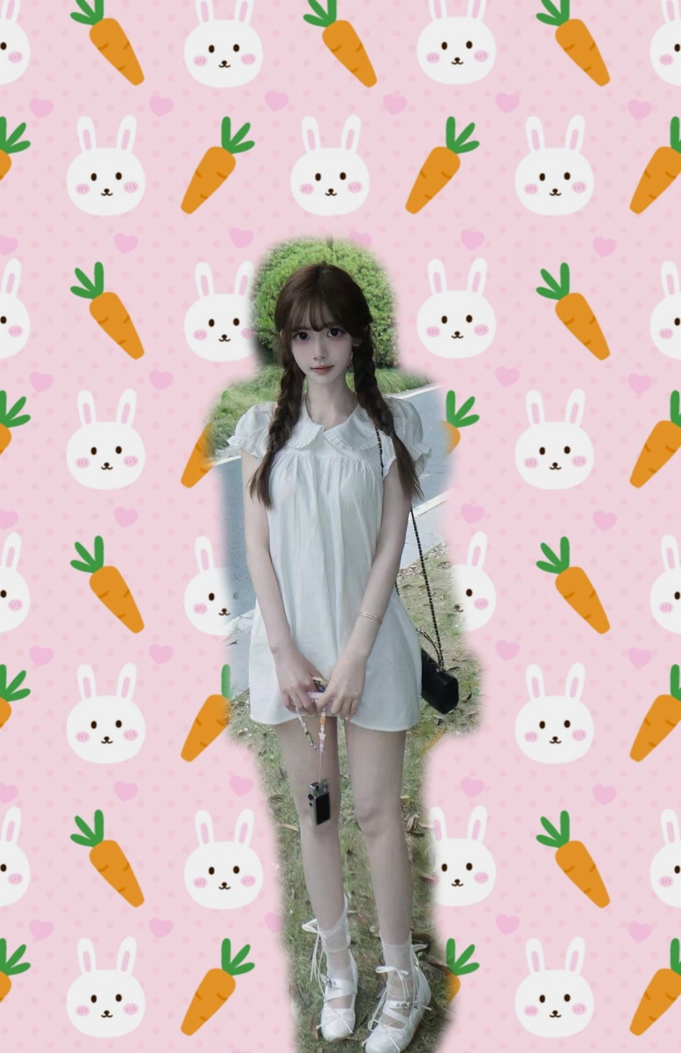 菜菜
