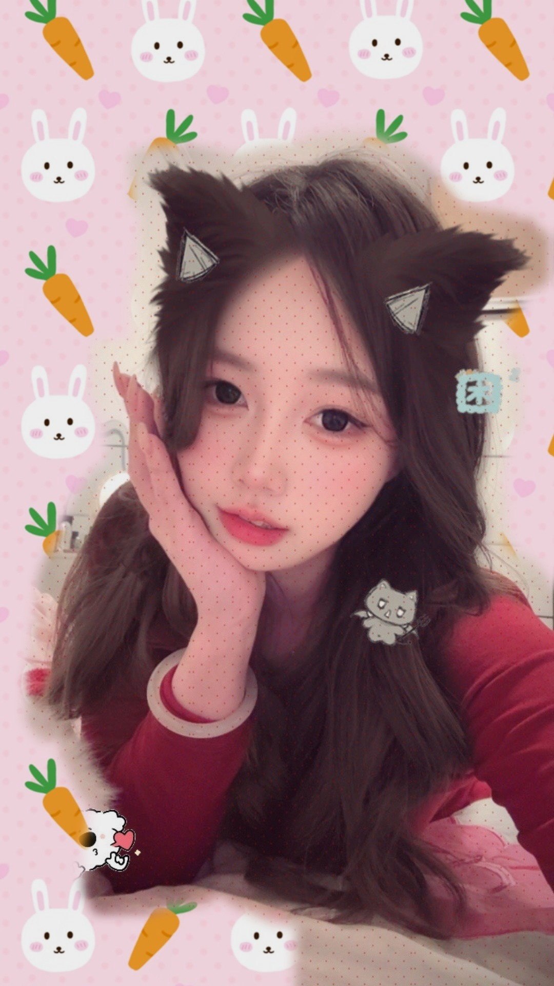 章鱼