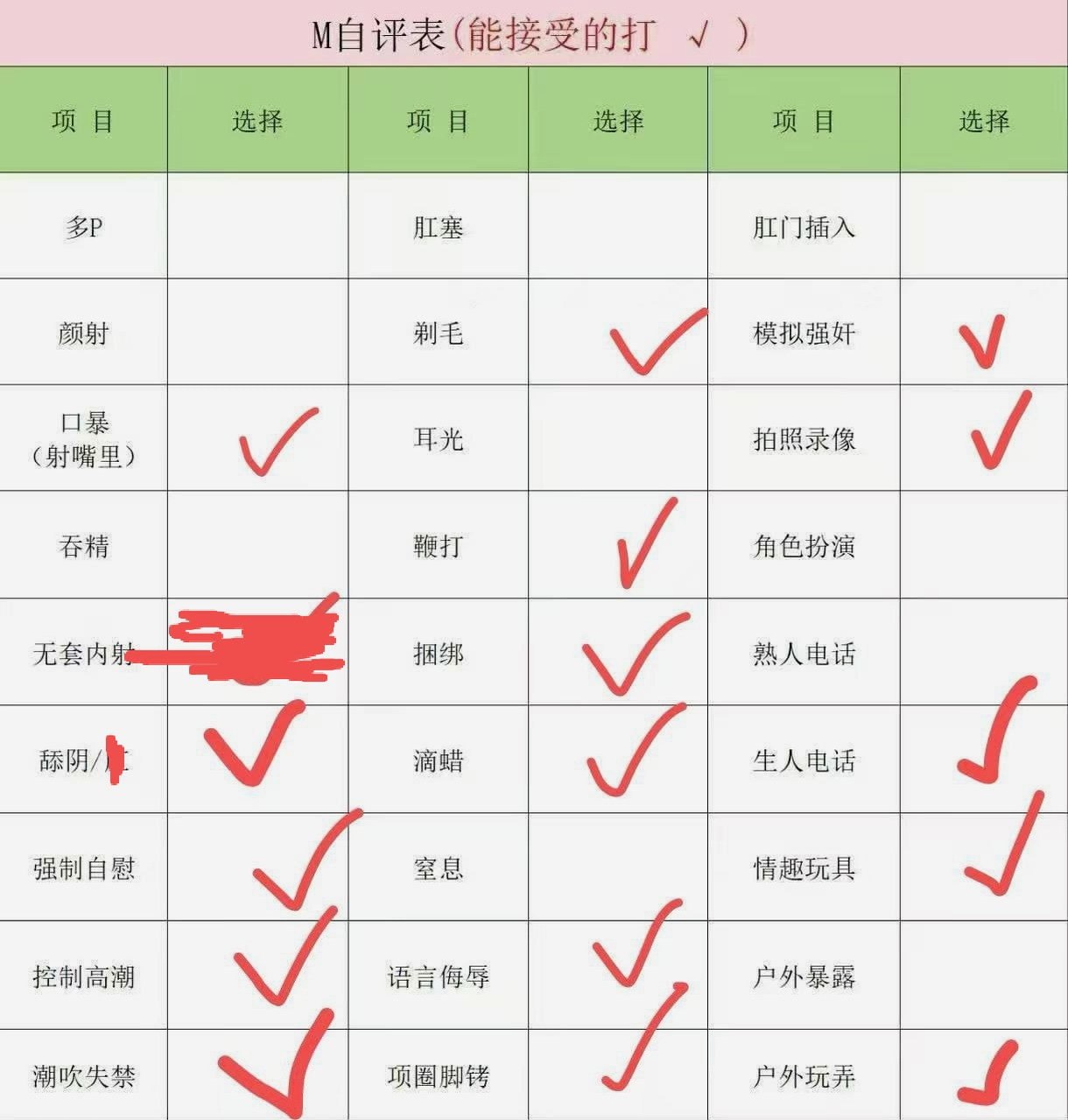 TY-Z1024
