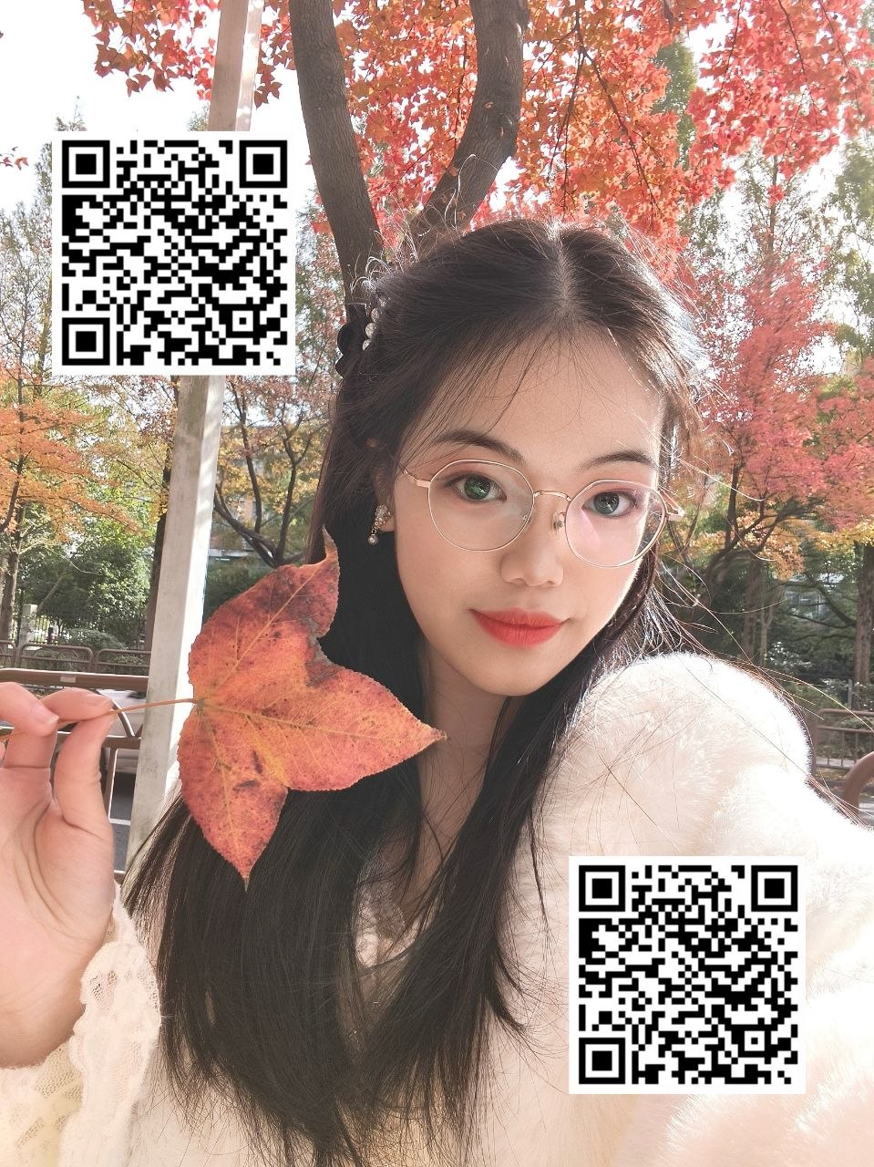 菲尼斯M1