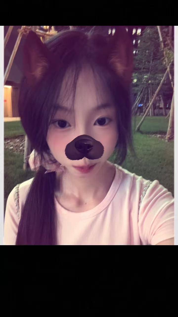 TY-C029