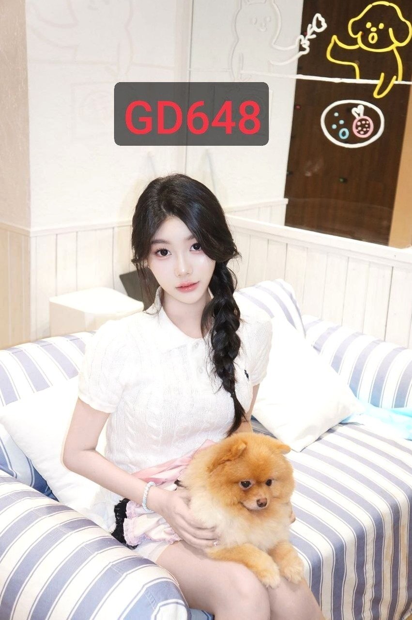 YC349