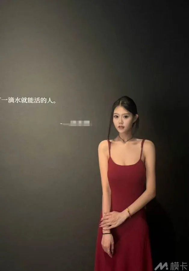 验证视频封面