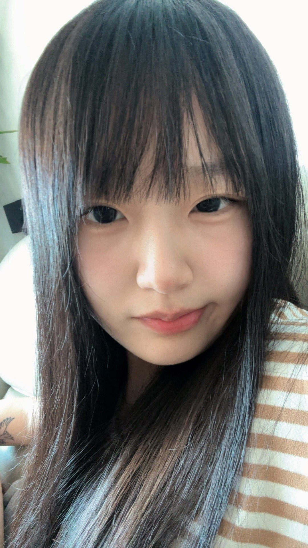 朴朴TC035