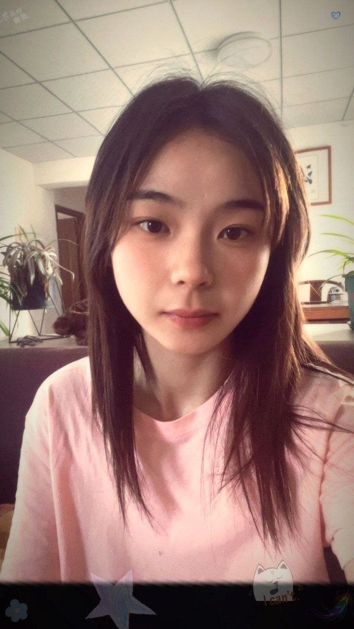 豆豆H