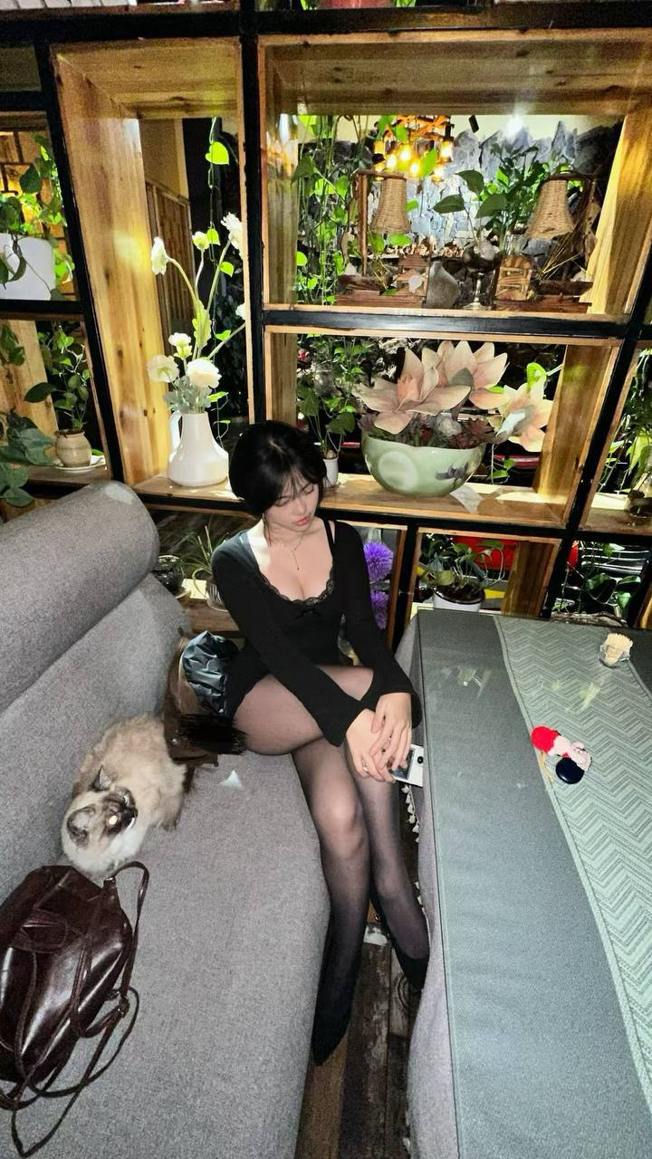 小歆