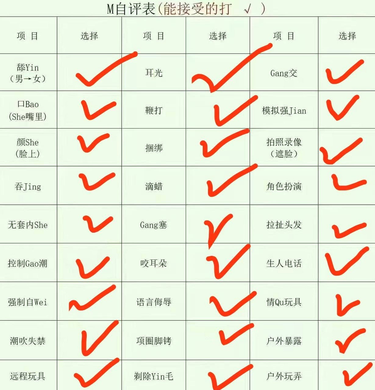 朴朴TC011 小饼