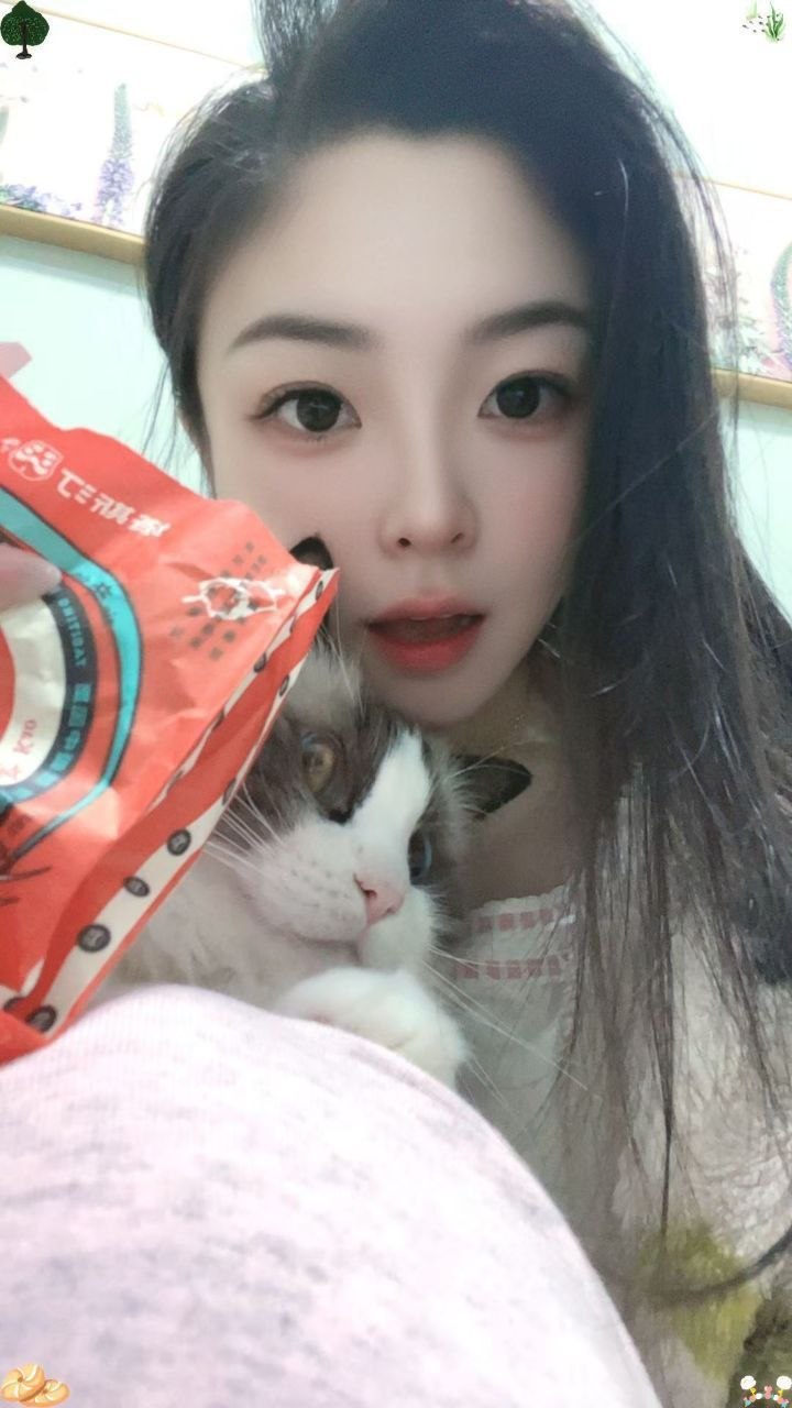妙妙